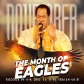 Welcome To The Month of Eagles (November)